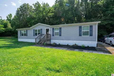201 Ball Park Loop, Ledbetter, KY 42058