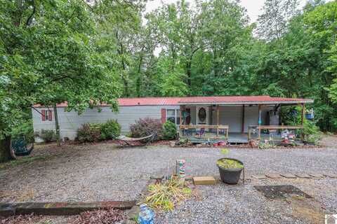 481 Justin Ln, Gilbertsville, KY 42044