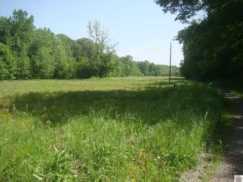 40 Howdy Doody, Cadiz, KY 42211