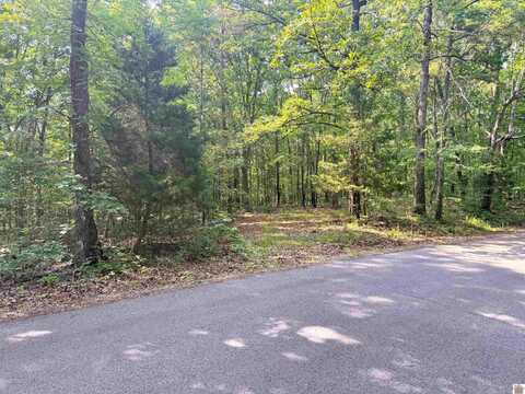 00 Beat Farmer Road, New Concord, KY 42076