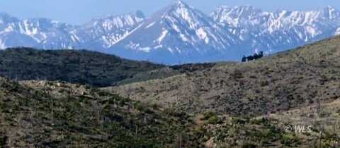 56 Kit Carson Ln, Cotopaxi, CO 81223