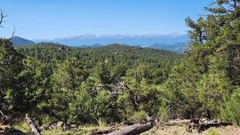 134 Knight Ln, Cotopaxi, CO 81223