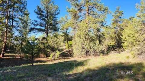 110 Dead Log Ln, Texas Creek, CO 81223