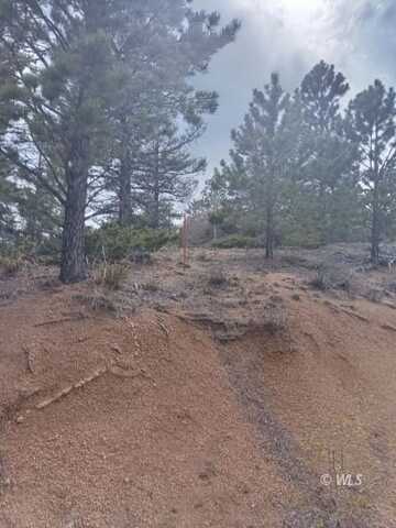 Tract I Spruce Mtn Rd, Cotopaxi, CO 81223