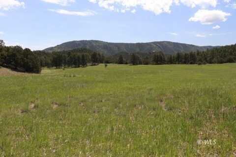 653 Thunder Trail, Canon City, CO 81212