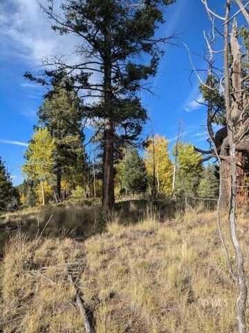303 Viewcrest Way, Florissant, CO 80816