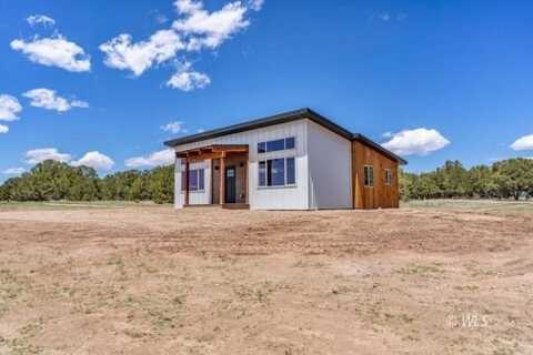 388 14th Trail, Texas Creek, CO 81223