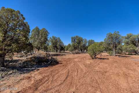 000 Aubri Lane, Show Low, AZ 85901