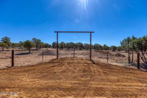 000 Aubri Lane, Show Low, AZ 85901