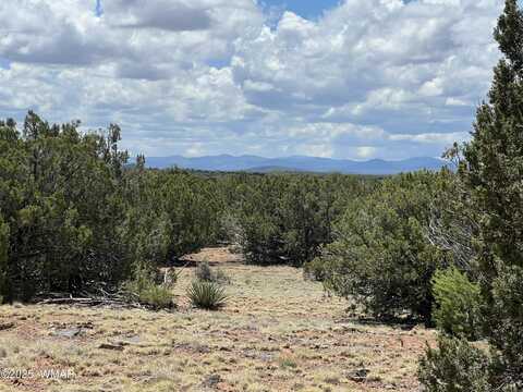 Lot 64 County Round 3193, Vernon, AZ 85940