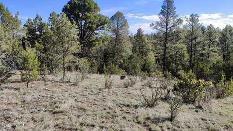 2316 Thunderbird Circle, Overgaard, AZ 85933
