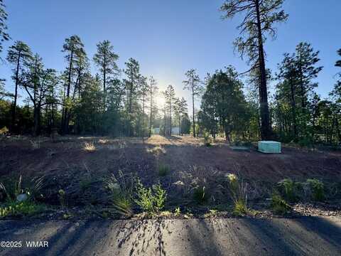 Tbd White Mountain Blvd 212-09-10Q, Lakeside, AZ 85929
