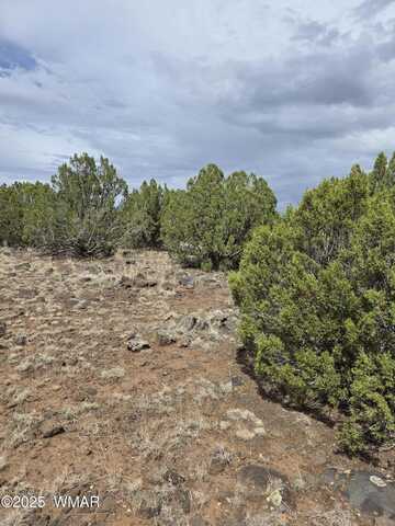 8770 Supancheck Road, Show Low, AZ 85901
