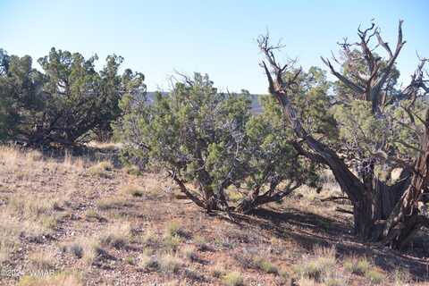 3908 Coronado Road, Snowflake, AZ 85937