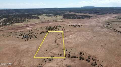 000 Paso Drive, Snowflake, AZ 85937