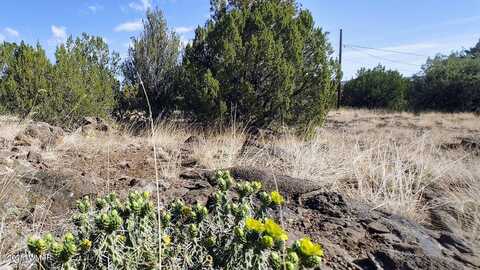 1799 Scott Place, Show Low, AZ 85901