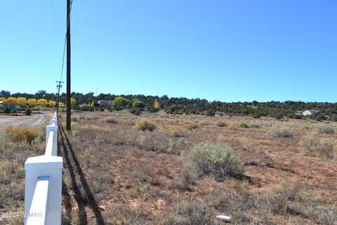 058n Bar Ditch Road, Taylor, AZ 85939