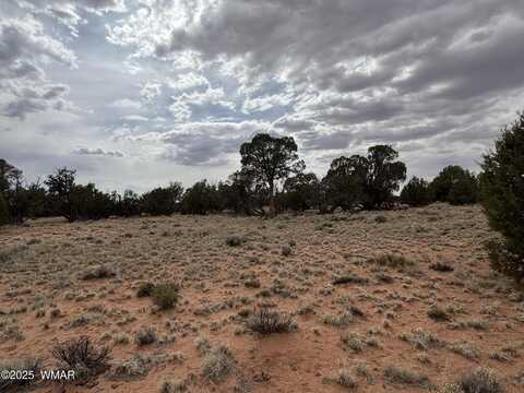 Tbd N5505, Concho, AZ 85924