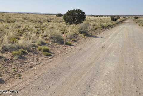 000 Clyde Road, Snowflake, AZ 85937