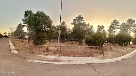 600 S Reynolds Lane, Show Low, AZ 85901