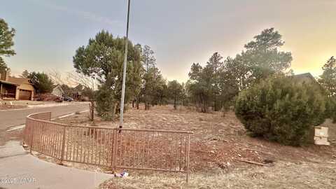 600 S Reynolds Lane, Show Low, AZ 85901