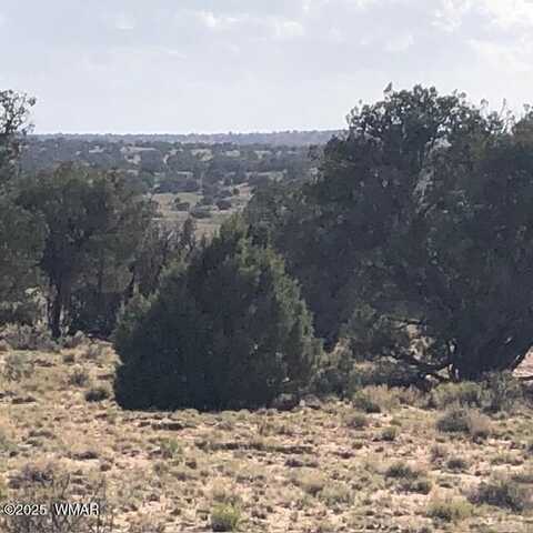 Tbd WICKED SISTERS, Concho, AZ 85924