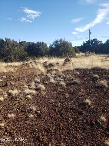 1786 Doughty Place, Show Low, AZ 85901