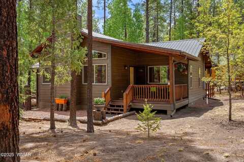 2 County Road 2069, Alpine, AZ 85920