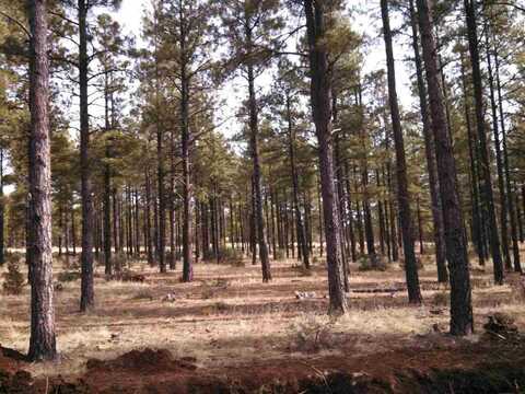 Tbd-009 Porter Mountain Road, Lakeside, AZ 85929