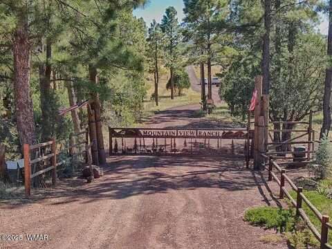 161 Mountain View Ranch Road, Lakeside, AZ 85929