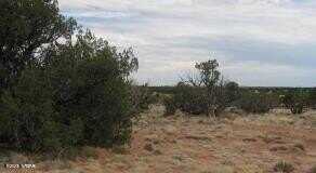 Sec 19 T15N, R16E, Heber, AZ 85928