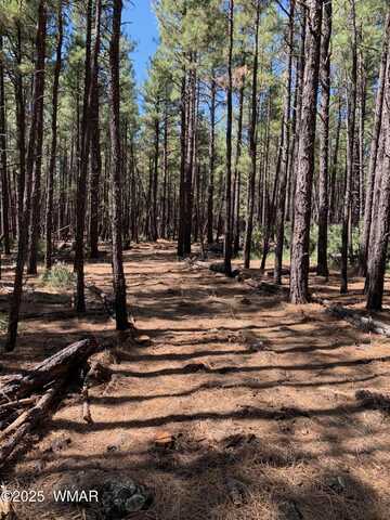 Tbd-2 dynamite, Lakeside, AZ 85929