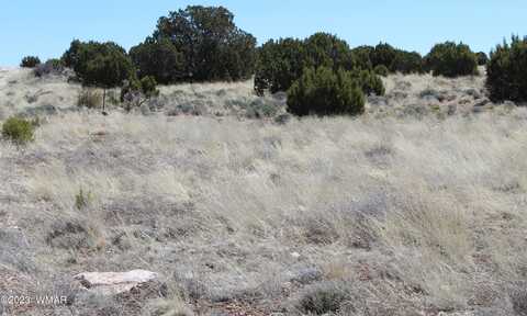 80 County Road 8620, Concho, AZ 85924