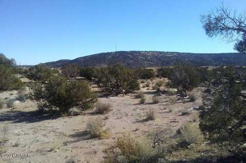 4596 El Dorado Road, Snowflake, AZ 85937