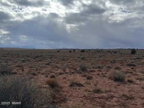 8356 Holly Trail, Snowflake, AZ 85937