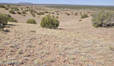 14 CR 5525, Concho, AZ 85924
