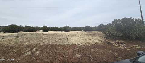 Tbd CR 8065, Concho, AZ 85924