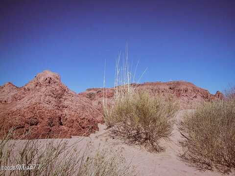 Lot 277 River Meadows Ranch, Concho, AZ 85924