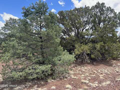 Lot 72 County Road 3193, Vernon, AZ 85940