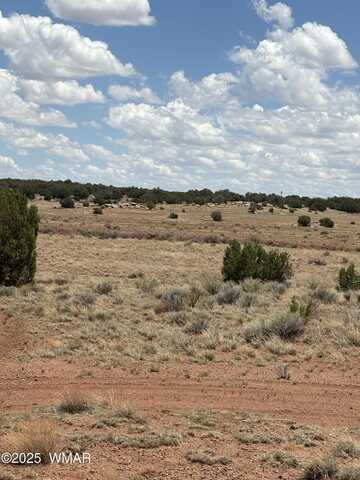 104 N 5532, Concho, AZ 85924