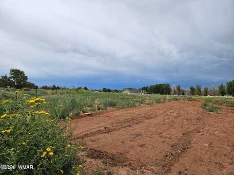Tbd Caldwell Canyon Road, Snowflake, AZ 85937