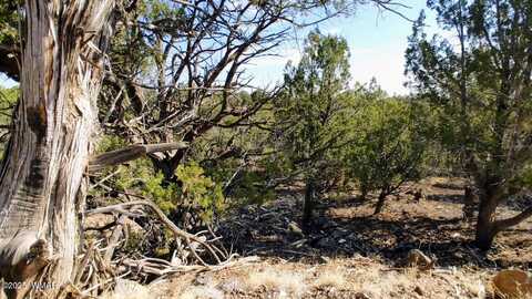 1849 Rocky Bottom Place, Show Low, AZ 85901