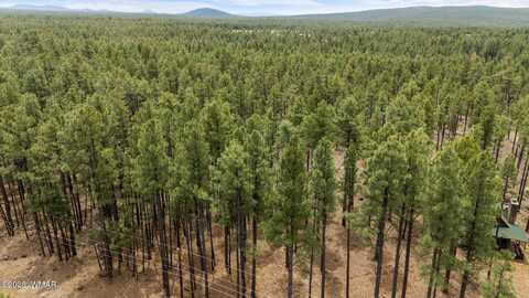 9241 Morgan Mountain Road, Lakeside, AZ 85929