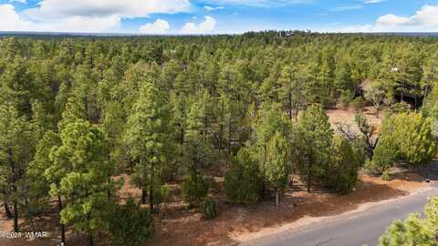1820 S Monkshood Road, Show Low, AZ 85901
