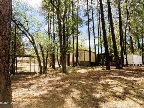 1816 Larson Road, Lakeside, AZ 85929