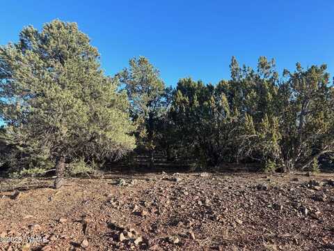 Lot 33 Ridgeview, Vernon, AZ 85940