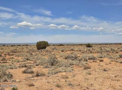 Tbd N Clyde Road, Snowflake, AZ 85937