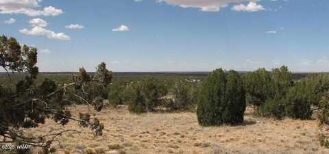 5148 Byrnes Road, Heber, AZ 85928