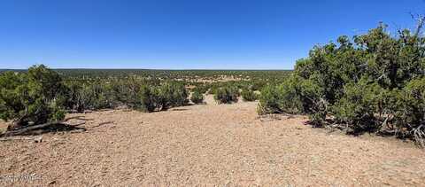 9182 Texas Lane, Show Low, AZ 85901