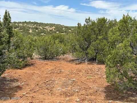 40 County Road 3048, Concho, AZ 85924